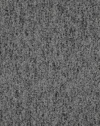 Space Race 502 Platinum by  Maxwell Fabrics 