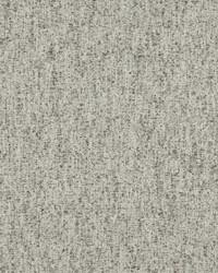 Space Race 504 Fossil by  Maxwell Fabrics 