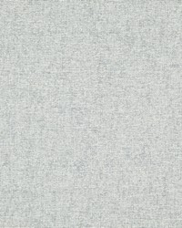 Space Race 510 Shale by  Maxwell Fabrics 