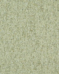 Space Race 517 Swamp by  Maxwell Fabrics 