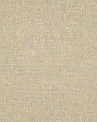 Space Race 518 Harvest by  Maxwell Fabrics 