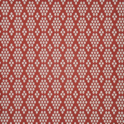 Shoal 436 Raspberry in HOME & GARDEN-ACT V Pink BELLA-DURA  Blend Fire Rated Fabric Heavy Duty CA 117  NFPA 260  Fun Print Outdoor  Fabric