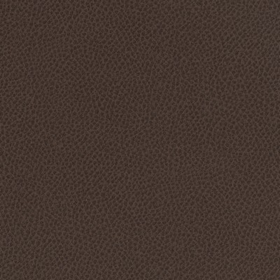 Scene 720 Tea in EASY RIDER VII Upholstery POLYURETHANE/5%  Blend High Wear Commercial Upholstery Solid Faux Leather  Fabric