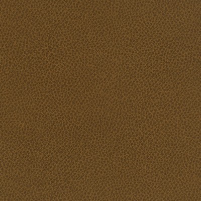 Scene 730 Cumin in EASY RIDER VII Upholstery POLYURETHANE/5%  Blend High Wear Commercial Upholstery Solid Faux Leather  Fabric