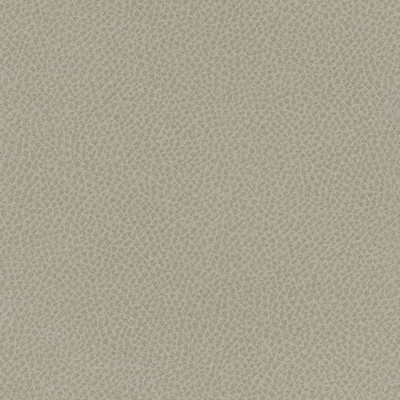 Scene 737 Crater in EASY RIDER VII Upholstery POLYURETHANE/5%  Blend Animal Print  High Wear Commercial Upholstery Solid Faux Leather  Fabric