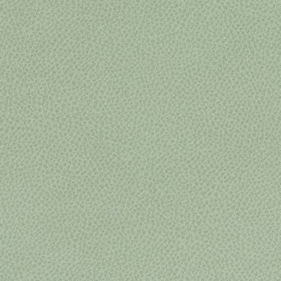 Scene 747 Aloe in EASY RIDER VII Green Upholstery POLYURETHANE/5%  Blend High Wear Commercial Upholstery Solid Faux Leather  Fabric
