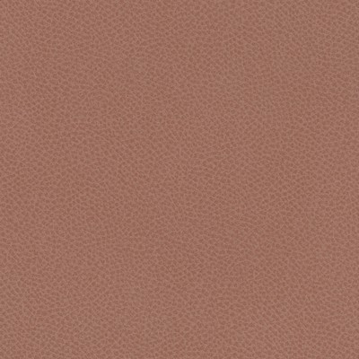 Scene 795 Peony in EASY RIDER VII Pink Upholstery POLYURETHANE/5%  Blend High Wear Commercial Upholstery Solid Faux Leather  Fabric