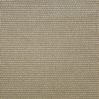Sidecar 410 Pyrite in SHEER THREADS Drapery POLYESTER Fire Rated Fabric NFPA 701 Flame Retardant  Printed Sheer  Extra Wide Sheer  Metallic  Fabric