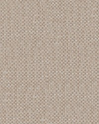 Swift 923 Chinchilla by   