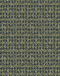 Salamanca 210 Forest by   