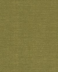 Sambal-nj 1089 Basil by   