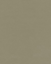 Shaw-nj 785 Metal by   