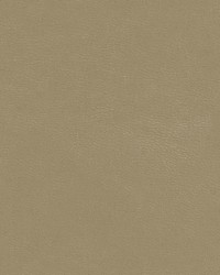 Shaw-nj 786 Ground by   