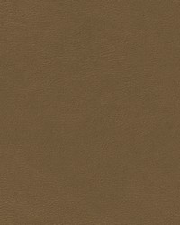 Shaw-nj 788 Earth by   