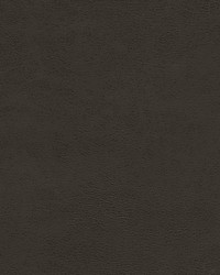 Shaw-nj 789 Charcoal by   