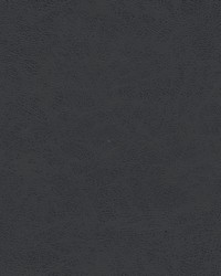 Shaw-nj 790 Slate by   