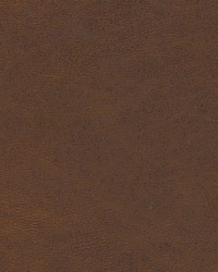 Shaw-nj 791 Trunk by   