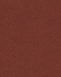 Shaw-nj 793 Zinfandel by   