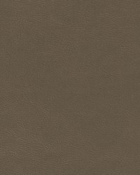 Shaw-nj 794 Flagstone by   