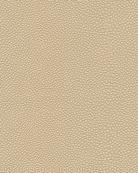 Stingray-nj 1064 Sand Dollar by   