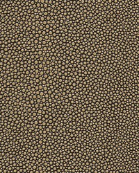 Stingray-nj 1066 Gravel by   