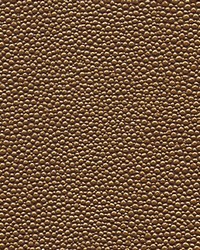 Stingray-nj 1068 Driftwood by   