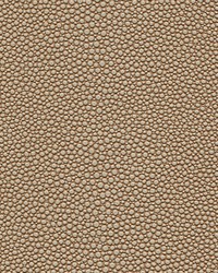 Stingray-nj 1069 Nautilus by   