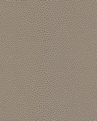 Stingray-nj 1070 Fin by   