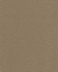 Stingray-nj 1072 Desert by   