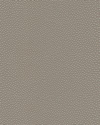 Stingray-nj 1074 Chalice by   