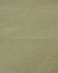 Spinnaker 801 Kelp by   