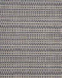 Semillon 702 Bumblebee by   