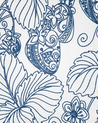 Solomon 137 Aegean by   