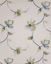 Sweet Pea 313 Herbal by   