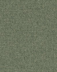 Slogan 1016 Seagrass by   