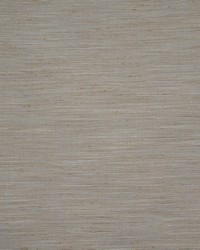 Sandbridge 416 Stone by  Robert Allen 