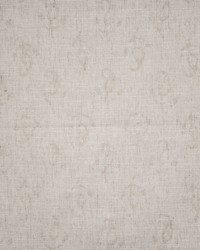 Shadow Flower 417 Greige by  Robert Allen 