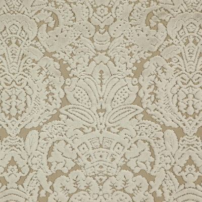 Trinity 606 Plaza in CLASSIC VELVETS Beige POLYESTER/43%  Blend Fire Rated Fabric Patterned Velvet   Fabric
