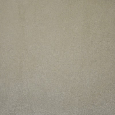 Tabernas 171 Parchment in COLOR WAVES-NEUTRAL TERRITORY Beige POLYESTER  Blend Fire Rated Fabric Heavy Duty Solid Faux Leather CA 117  NFPA 260  Solid Suede   Fabric