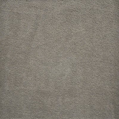 Terry 105 Mink in UPHOLSTERY PALETTES-FOSSIL Black POLYESTER  Blend Fire Rated Fabric High Performance CA 117  NFPA 260  Terry Cloth   Fabric