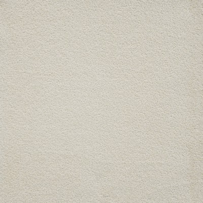 Terry 151 Parchment in UPHOLSTERY PALETTES-FOSSIL Beige POLYESTER  Blend Fire Rated Fabric High Performance CA 117  NFPA 260  Terry Cloth   Fabric