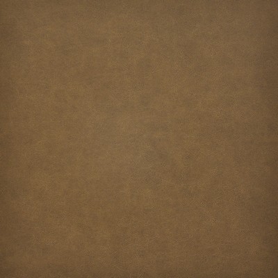 Taro 204 Mustang in EASY RIDER VI Beige PVC  Blend Fire Rated Fabric High Wear Commercial Upholstery Vintage Faux Leather CA 117  NFPA 260  Leather Look Vinyl  Fabric