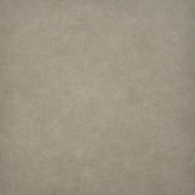 Taro 218 Trail in EASY RIDER VI PVC  Blend Fire Rated Fabric High Wear Commercial Upholstery Vintage Faux Leather CA 117  NFPA 260  Leather Look Vinyl  Fabric