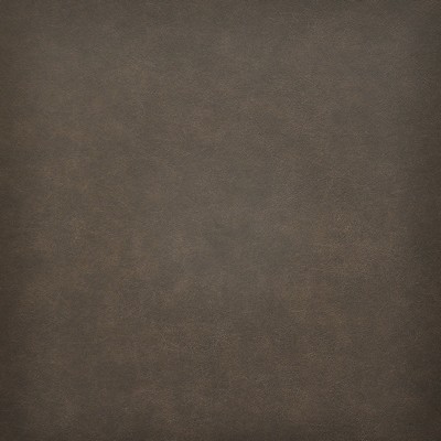 Taro 220 Chestnut in EASY RIDER VI Brown PVC  Blend Fire Rated Fabric High Wear Commercial Upholstery Vintage Faux Leather CA 117  NFPA 260  Leather Look Vinyl  Fabric