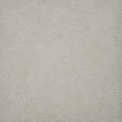 Taro 225 Ashwood in EASY RIDER VI Grey PVC  Blend Fire Rated Fabric High Wear Commercial Upholstery Vintage Faux Leather CA 117  NFPA 260  Leather Look Vinyl  Fabric