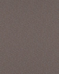 Take Off 600 Elephant by   