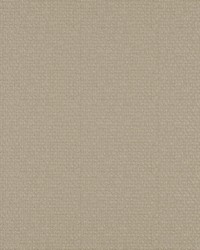 Take Off 605 Cashew by   