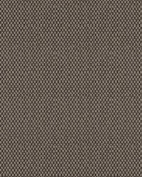 Take Off 607 Chocolate by   