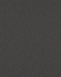 Take Off 608 Washed Black by   