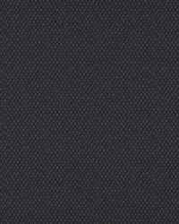 Take Off 609 Ebony by   